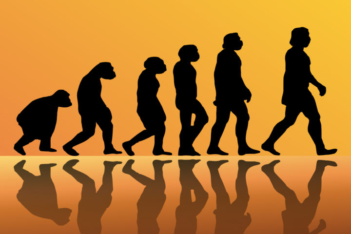 What Does the Bible Say About Evolution